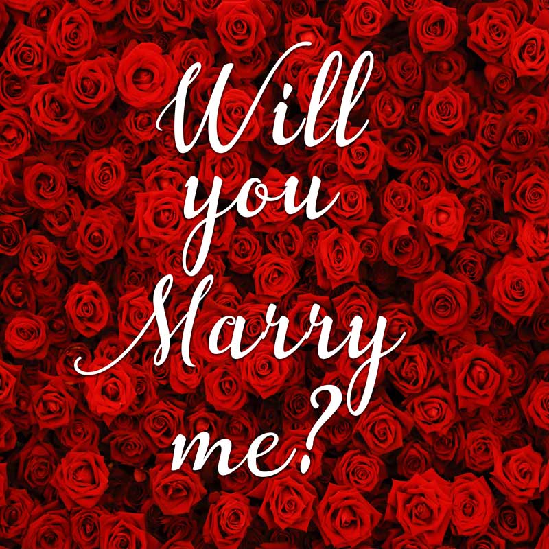 Will You Marry Me Backdrop-ubackdrop